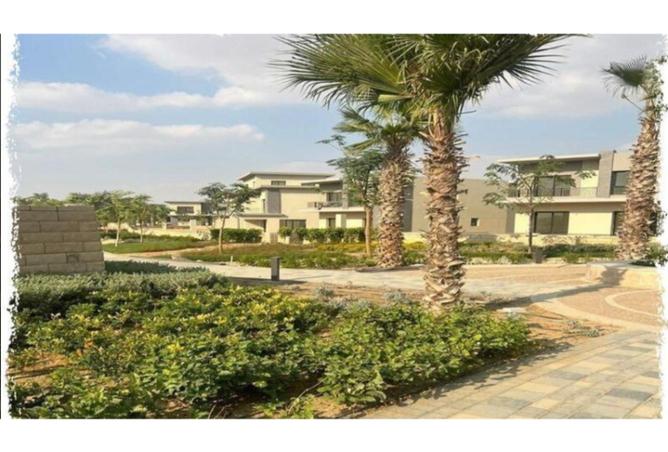 7493241 - صورة العقار 2