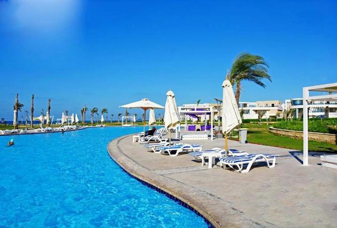 81579829 - صورة العقار 3