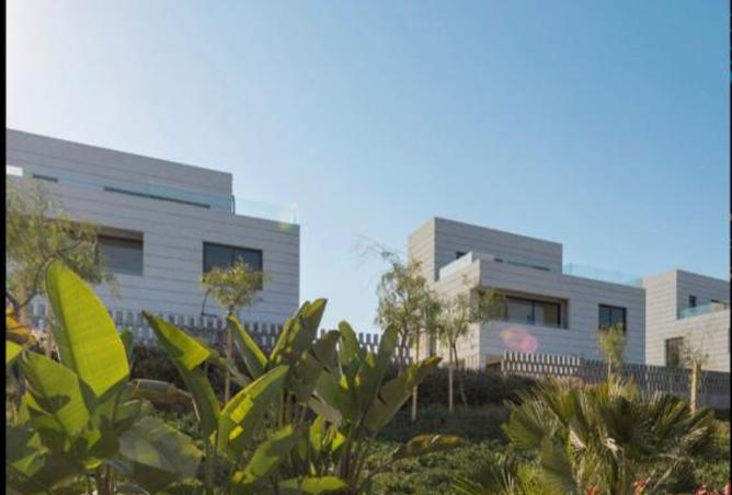 7264591 - الصورة الرئيسية للعقار