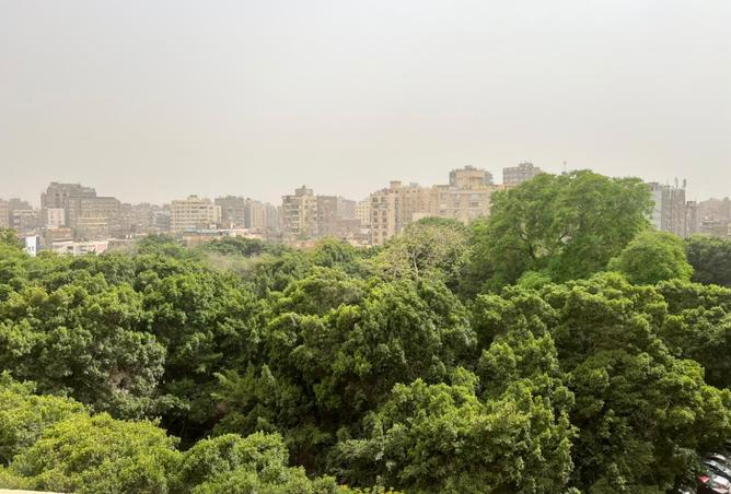 7269876 - صورة العقار 3