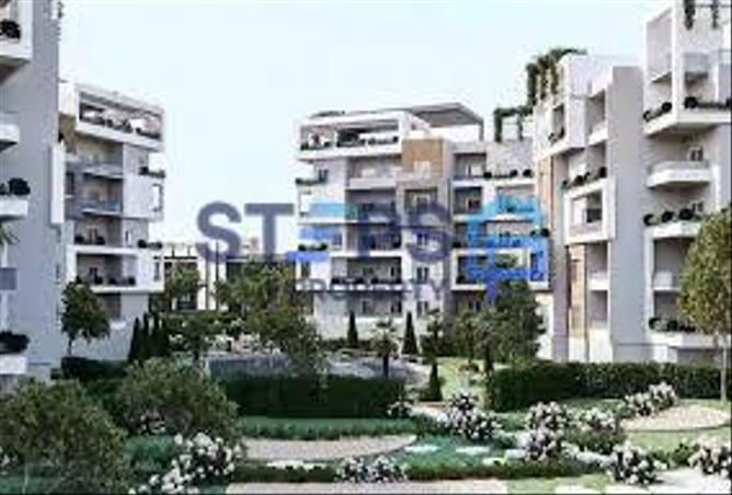 8247825 - صورة العقار 2