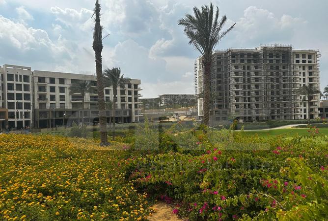 7283284 - صورة العقار 2