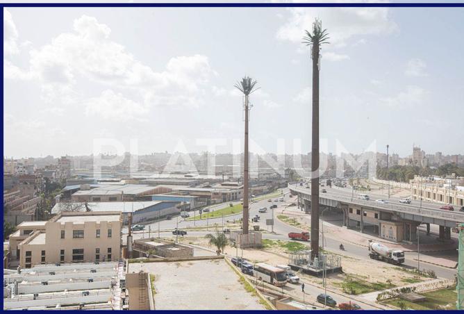 7286269 - صورة العقار 2