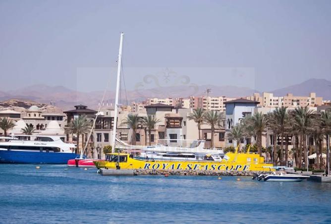 7288051 - الصورة الرئيسية للعقار