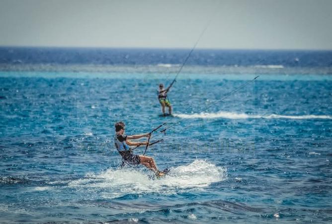 7288051 - صورة العقار 2