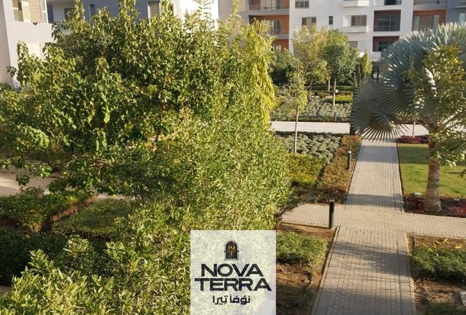 8125794 - صورة العقار 3