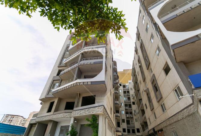 7291547 - صورة العقار 2