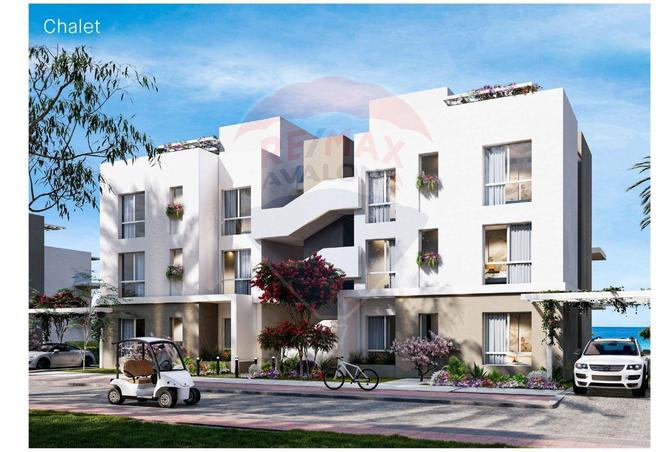 7295381 - Property Image 3