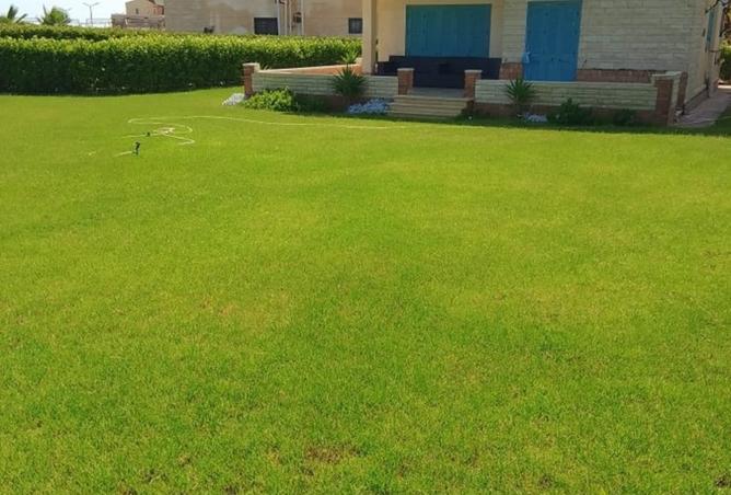 7295952 - صورة العقار 2