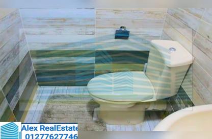 Apartment - 3 Bedrooms - 3 Bathrooms for rent in Champollion St. - Azarita - Hay Wasat - Alexandria