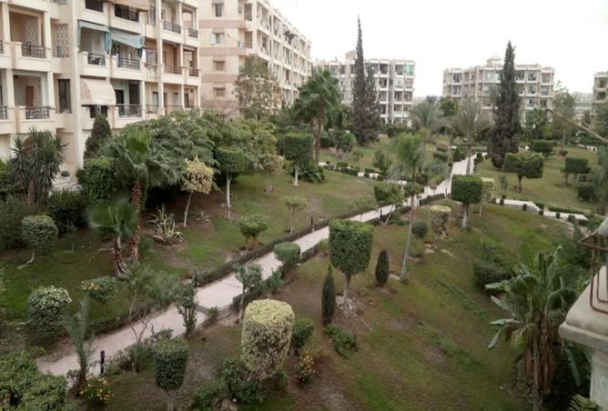 7303282 - صورة العقار 2