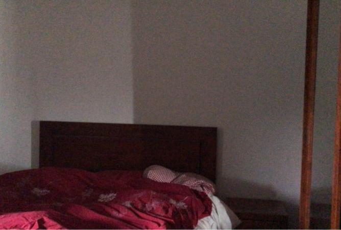 7306618 - صورة العقار 3