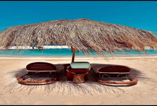 8515402 - صورة العقار 3