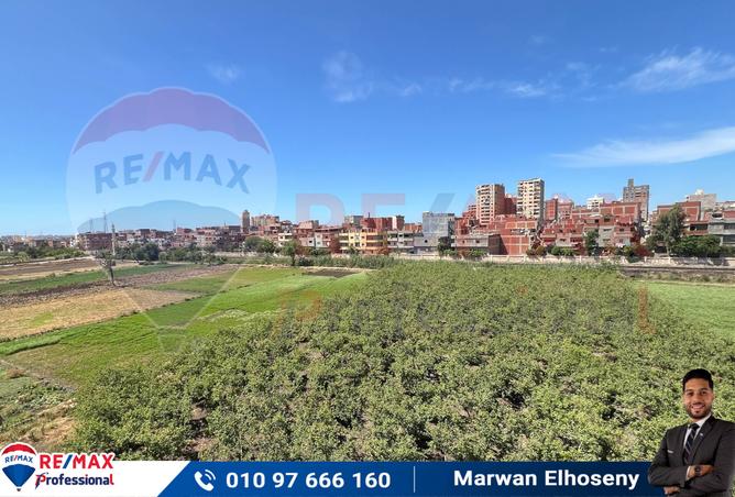 7310423 - صورة العقار 2