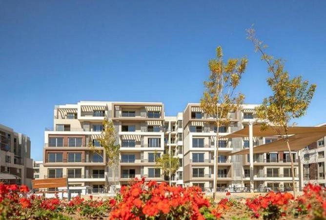 8225177 - صورة العقار 3