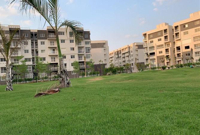 87523672 - صورة العقار 2
