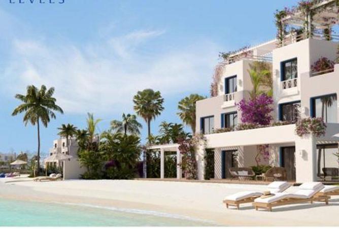 6890911 - صورة العقار 3