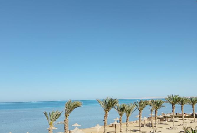 7320929 - الصورة الرئيسية للعقار