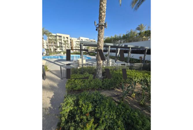 8313989 - صورة العقار 3