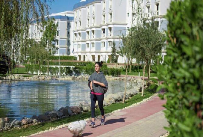 8089032 - Property Image 2