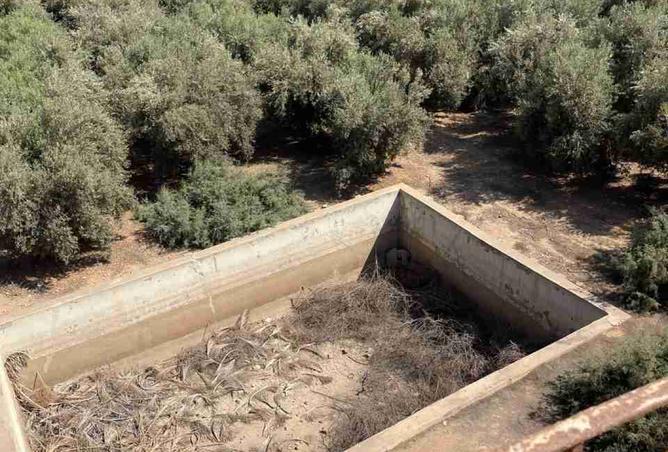 7322303 - Property Image 3