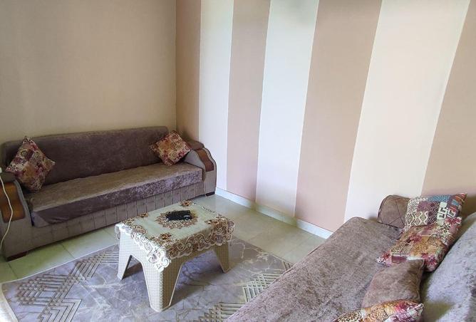 7323425 - Property Image 2