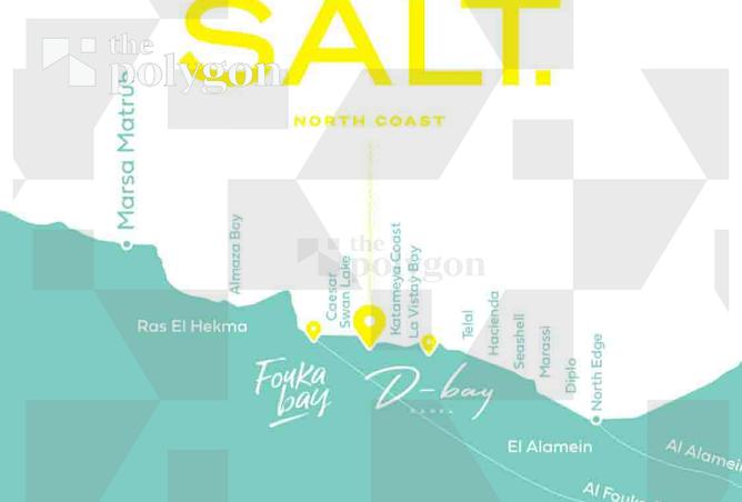 8188489 - صورة العقار 3