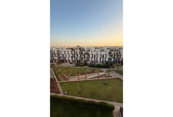 7427208 - صورة العقار 2