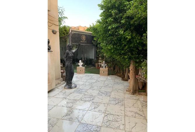 7370096 - Property Image 3