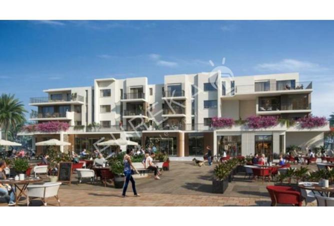 7329829 - Property Image 2