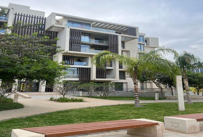 8089030 - صورة العقار 3