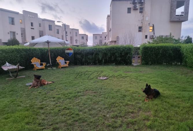 7334289 - صورة العقار 3