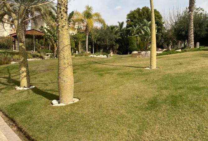 7335328 - Property Image 3