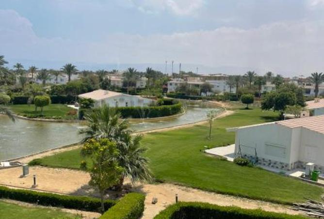 66683218 - صورة العقار 3