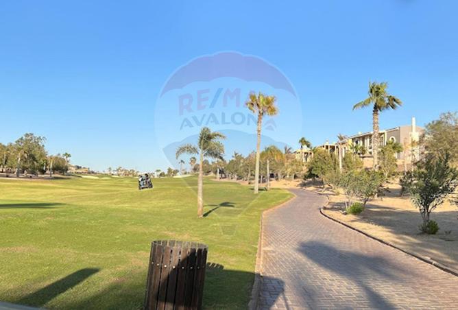 6595769 - صورة العقار 3