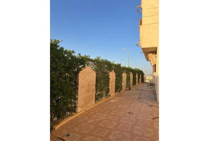 7341264 - صورة العقار 2