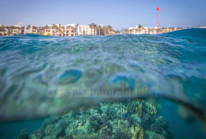 7342830 - Property Main Image