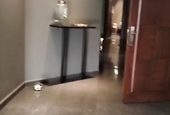 7344545 - صورة العقار 3