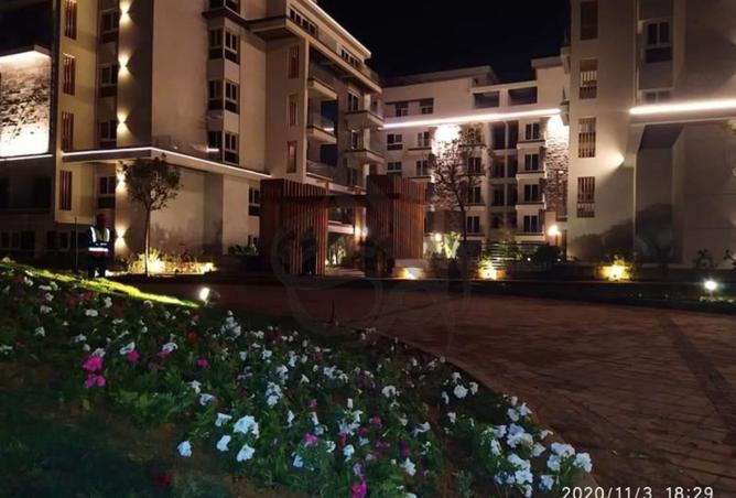 7346842 - صورة العقار 3