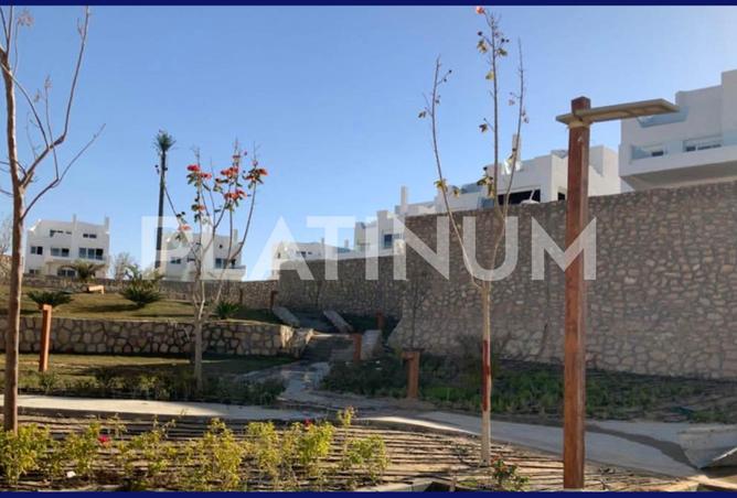 7349241 - صورة العقار 2