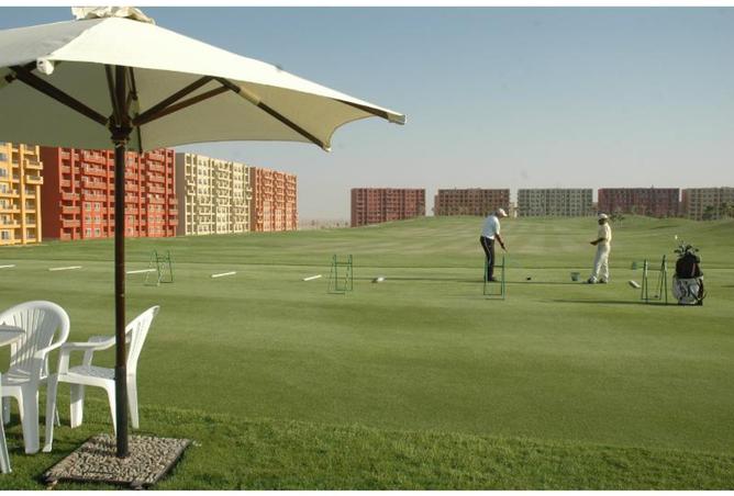 7354081 - صورة العقار 3