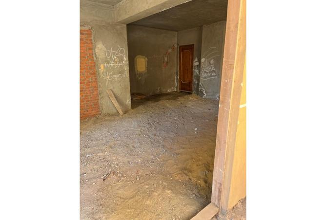 7355648 - Property Image 3