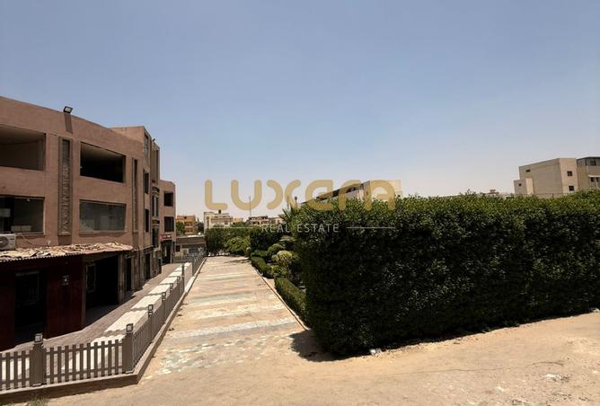 52714859 - Property Image 3