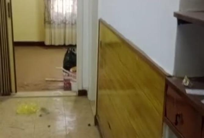 7356714 - صورة العقار 2