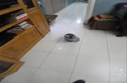 شقة - 3 غرف نوم - 2 حمامات للبيع في شارع السودان - الدقي - الجيزة