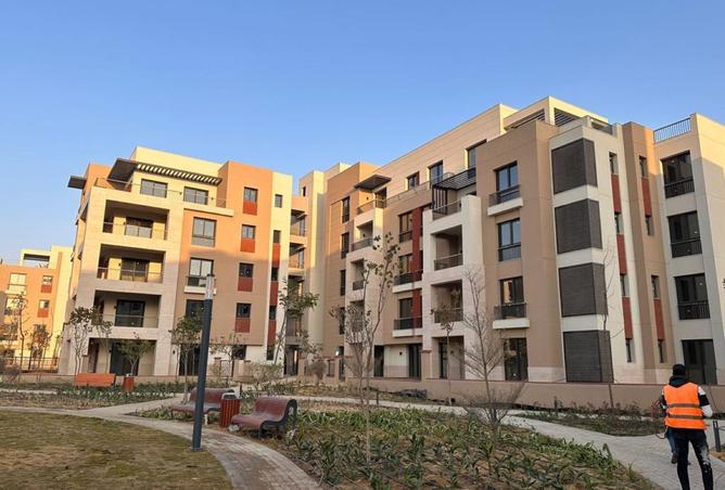 8302793 - صورة العقار 3