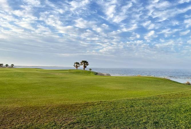 7372544 - Property Image 3