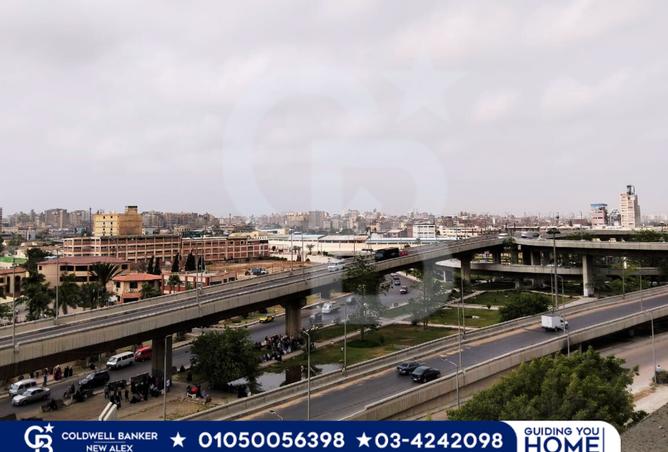 7366534 - الصورة الرئيسية للعقار