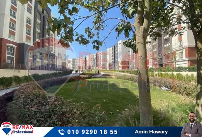 7206534 - صورة العقار 3