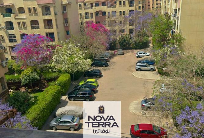 7378005 - صورة العقار 3